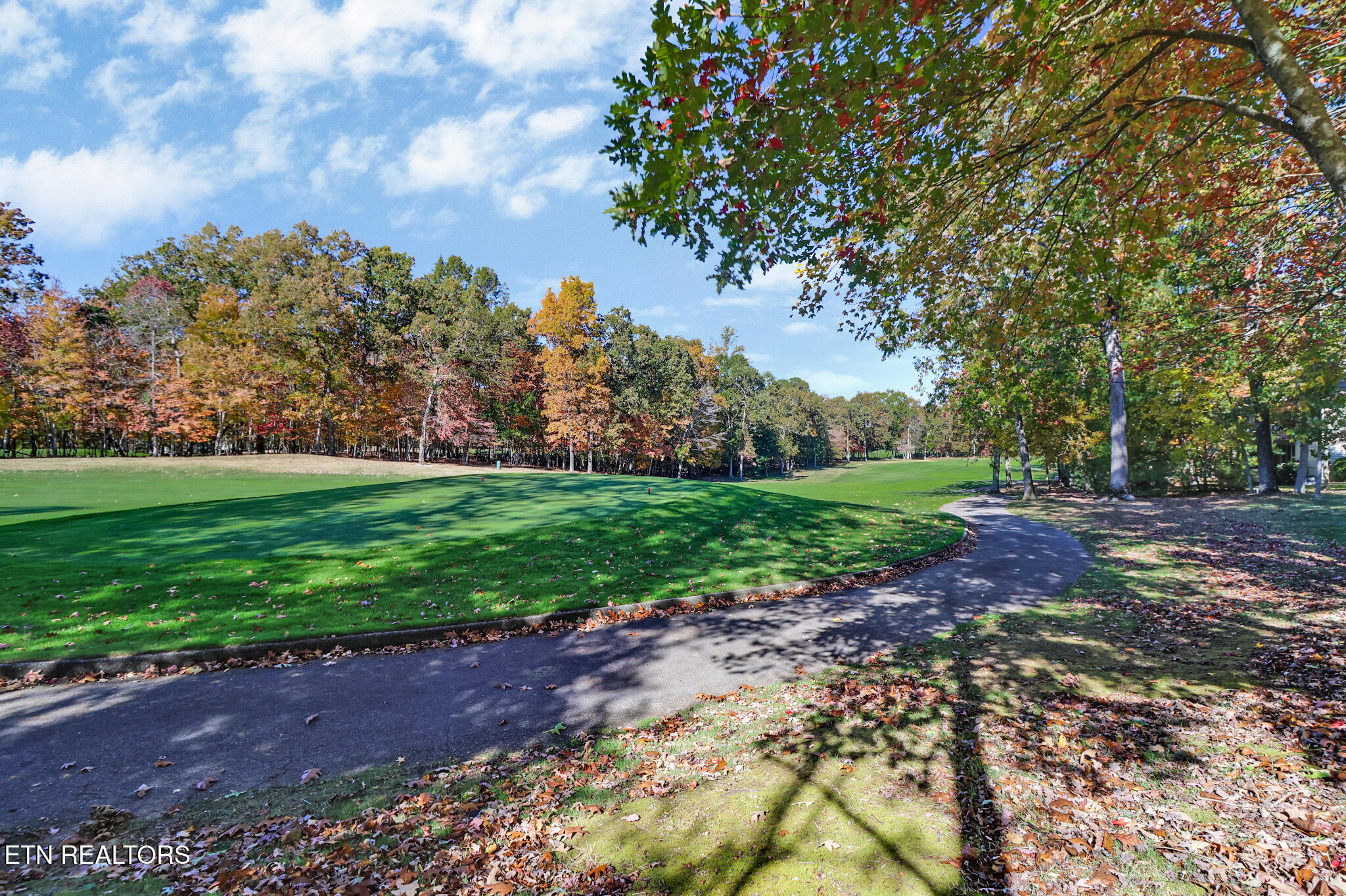 275 Forest Hill Drive Fairfield Glade TN 38558