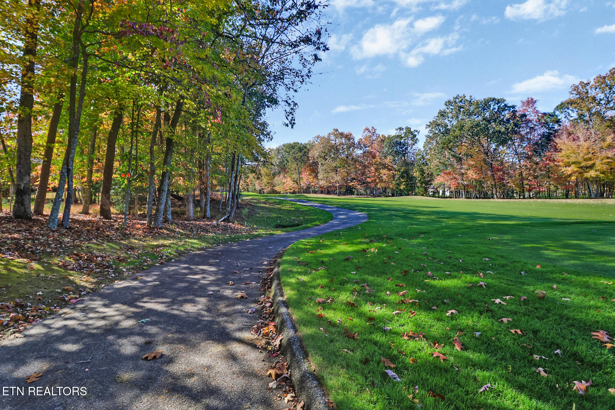 275 Forest Hill Drive Fairfield Glade TN 38558