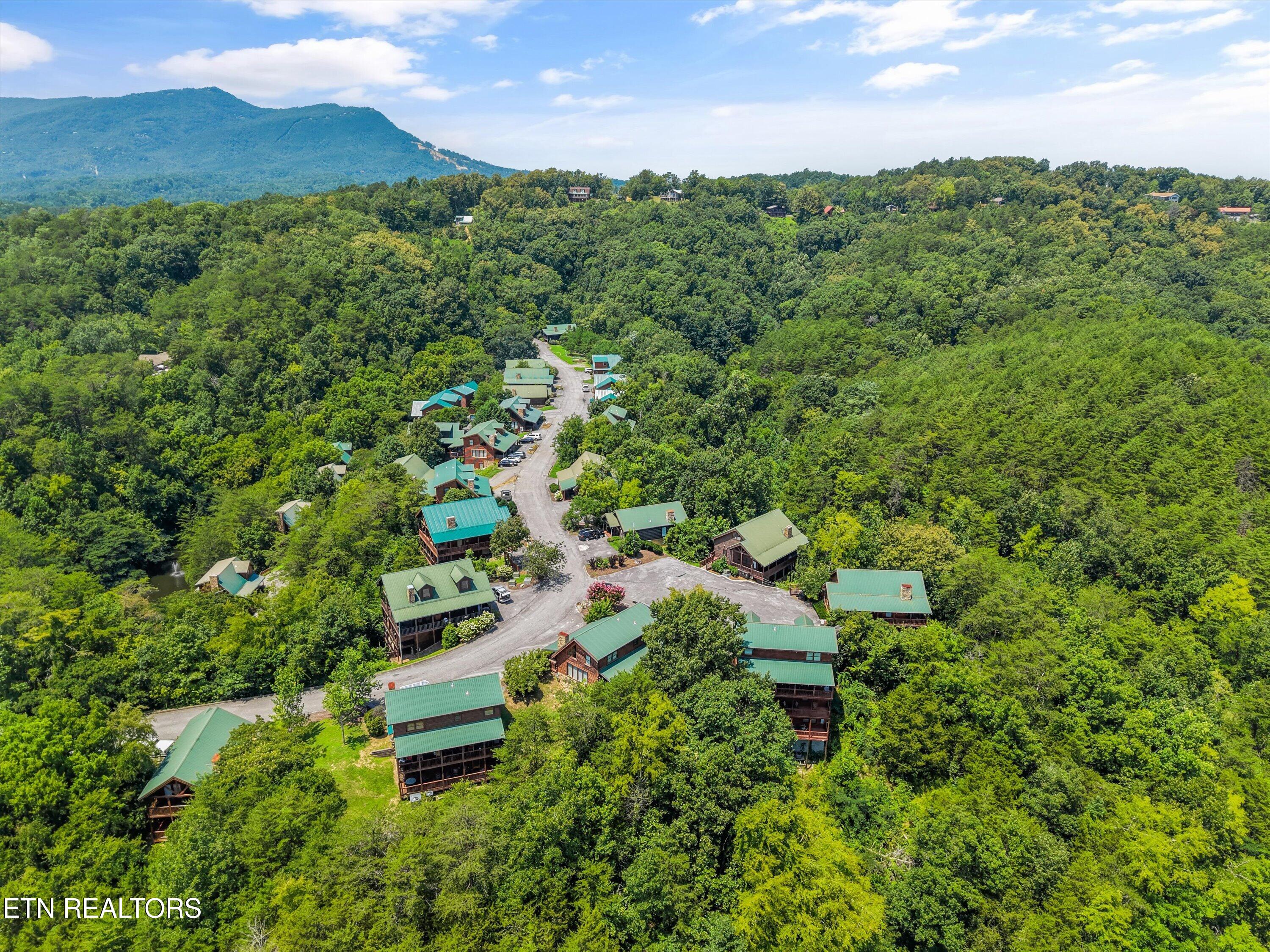 3208 White Falcon Way Pigeon Forge TN 37863