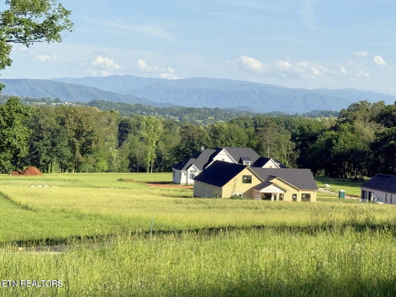 1241 Kellys View Drive Greenback TN 37742