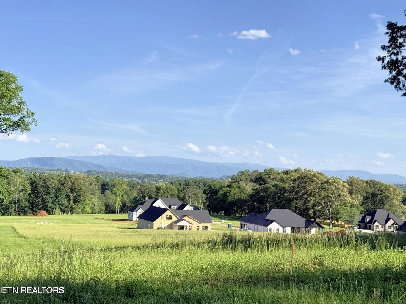 1241 Kellys View Drive Greenback TN 37742