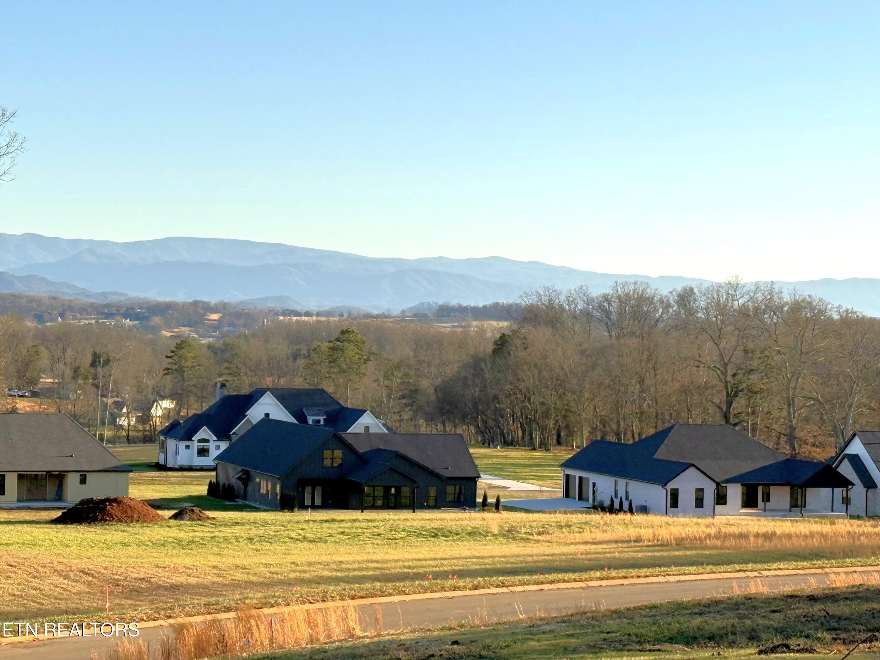 1241 Kellys View Drive Greenback TN 37742