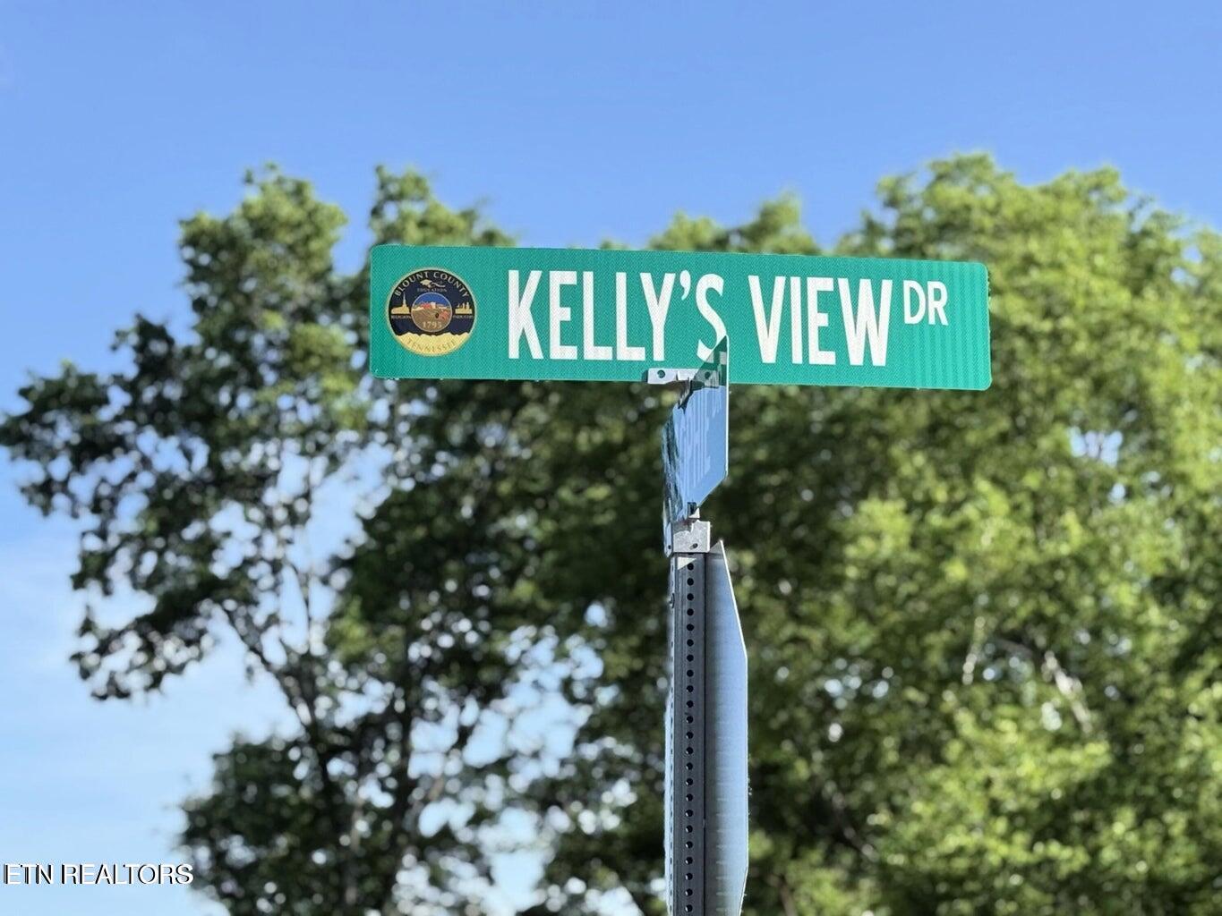 1241 Kellys View Drive Greenback TN 37742