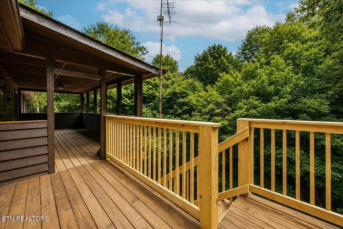 132 County Road 721 Riceville TN 37370