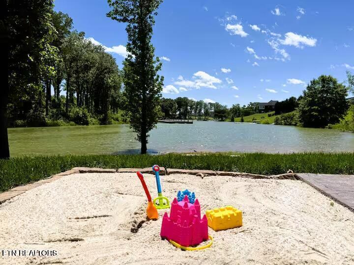 630 Ancient Oaks Court White Pine TN 37890