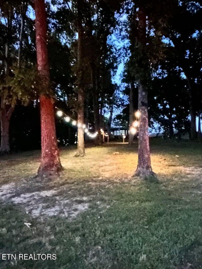 630 Ancient Oaks Court White Pine TN 37890