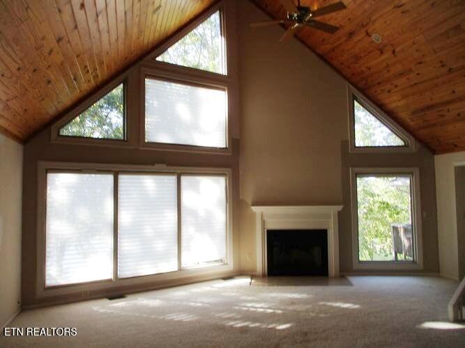 212 Overlook Drive Ten Mile TN 37880