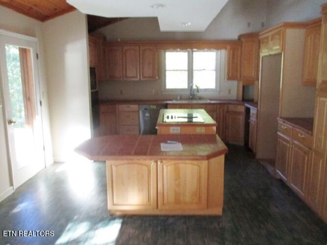 212 Overlook Drive Ten Mile TN 37880