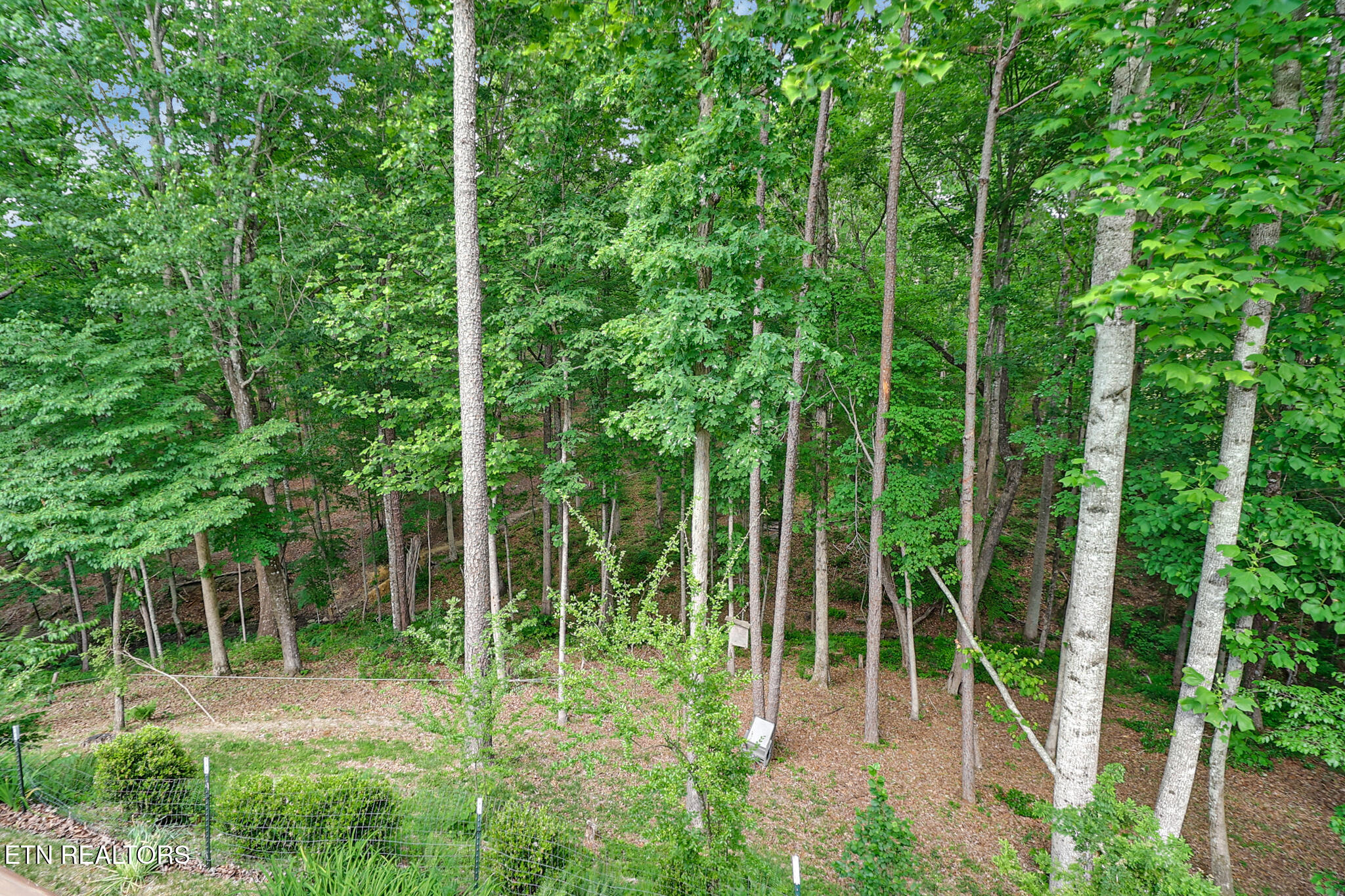 598 Ted Brooks Road Jamestown TN 38556