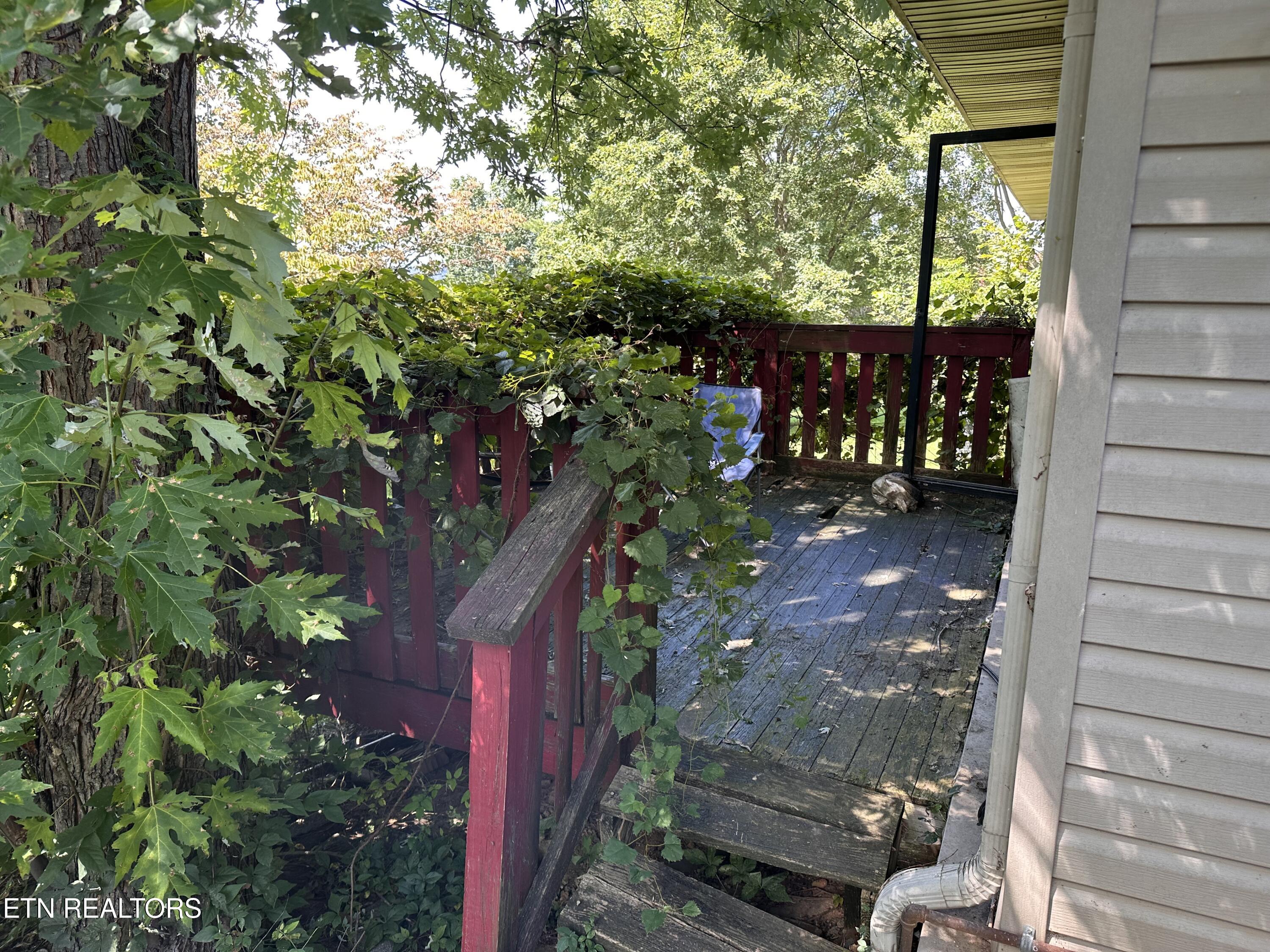 1019 Green Acres Drive Jefferson City TN 37760