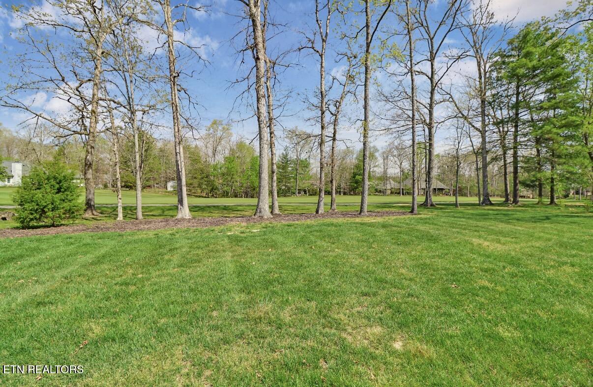 120 Forest View Drive Crossville TN 38558