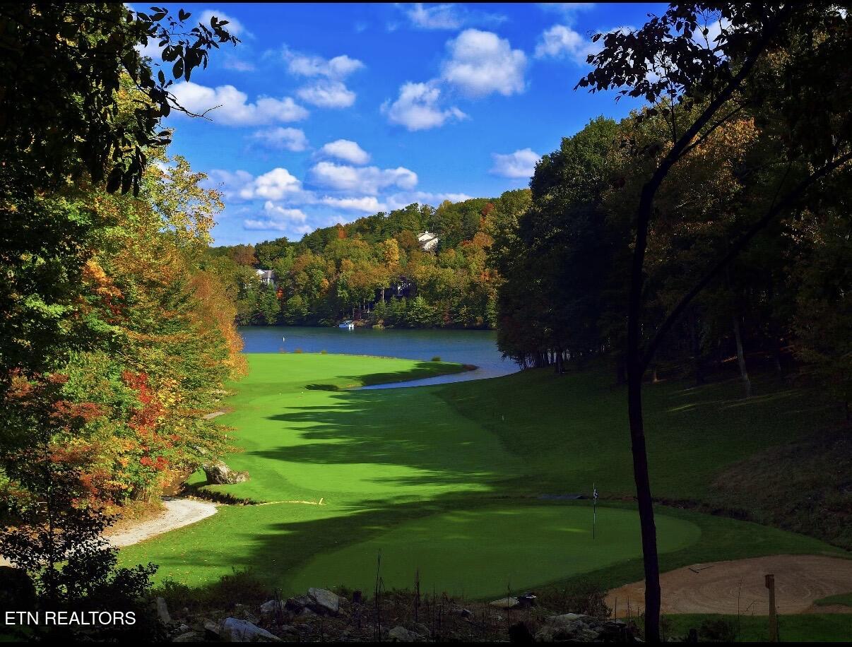 120 Forest View Drive Crossville TN 38558