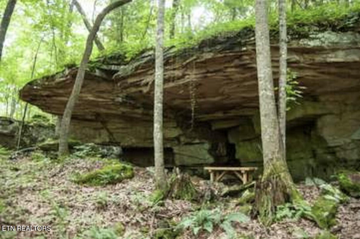 120 Forest View Drive Crossville TN 38558
