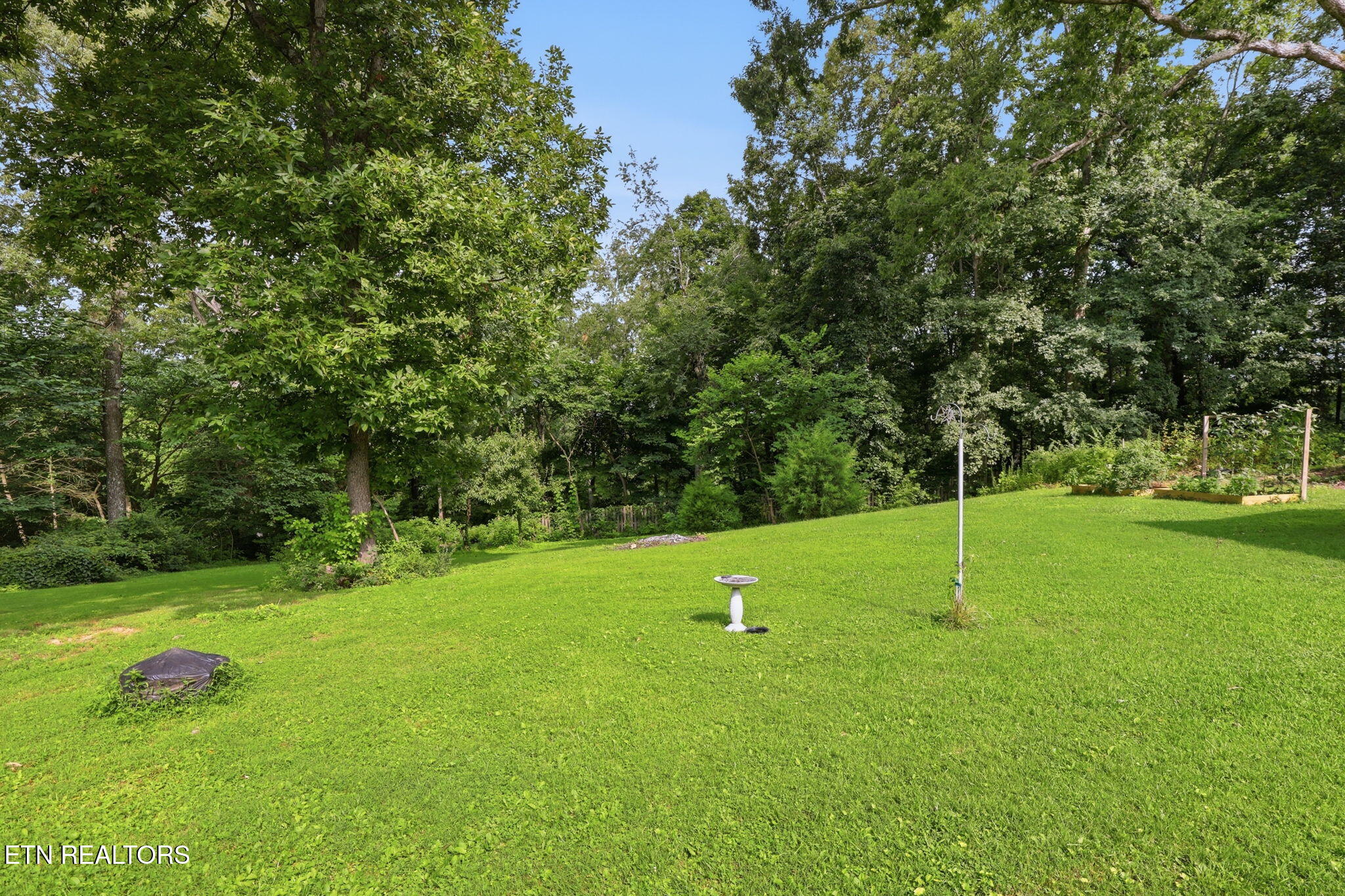 11141 Sonja Drive Knoxville TN 37934