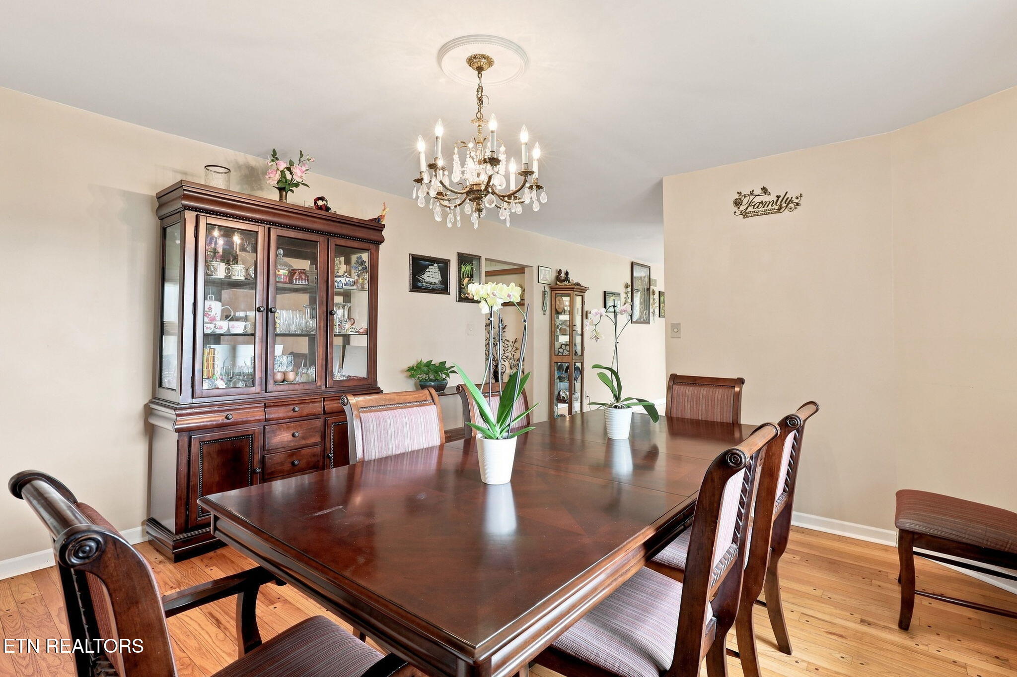 11141 Sonja Drive Knoxville TN 37934