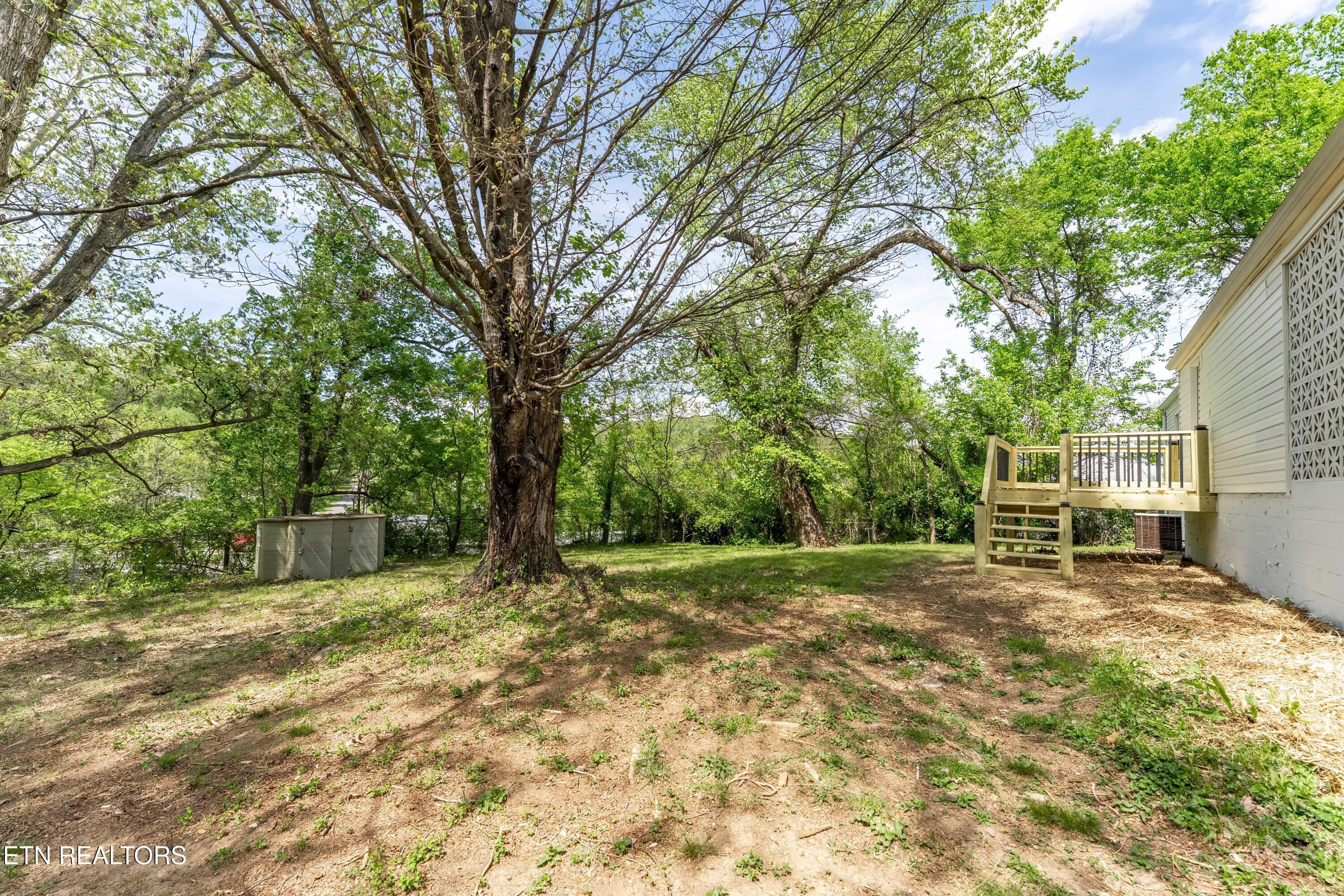 1703 Breda Drive Knoxville TN 37918