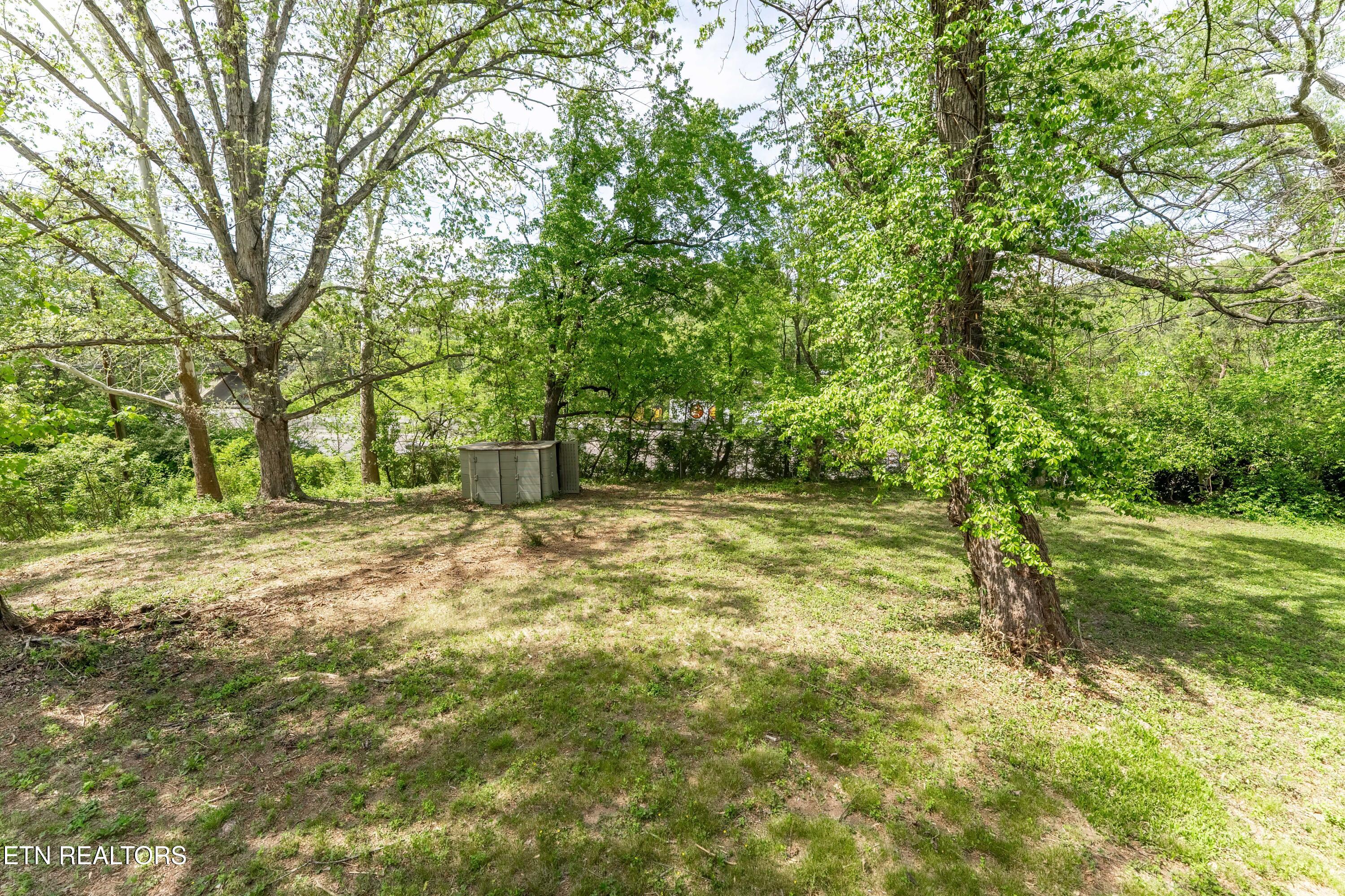 1703 Breda Drive Knoxville TN 37918