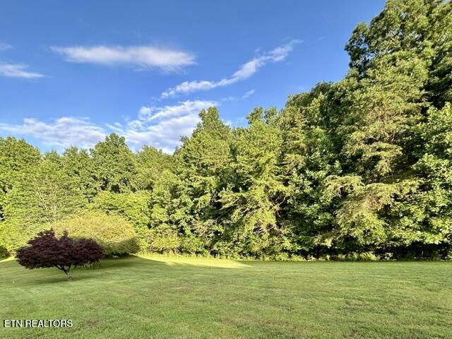 140 Nunyu Trail Vonore TN 37885