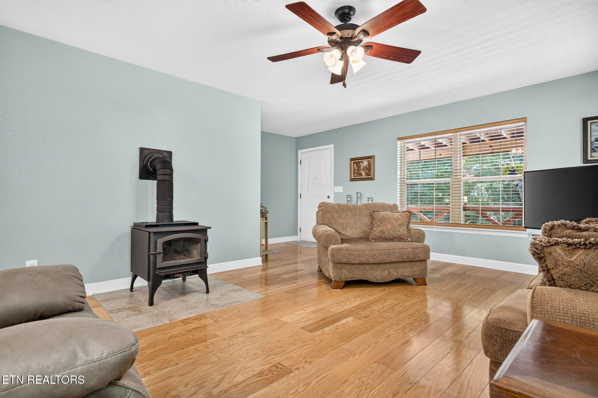1007 Parkstown Extension Wilder TN 38589