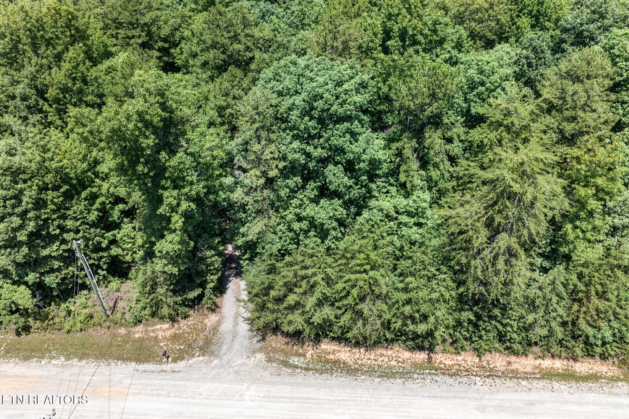 1007 Parkstown Extension Wilder TN 38589