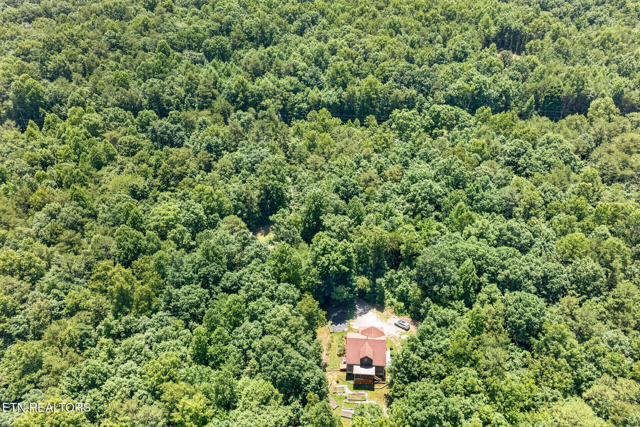 1007 Parkstown Extension Wilder TN 38589