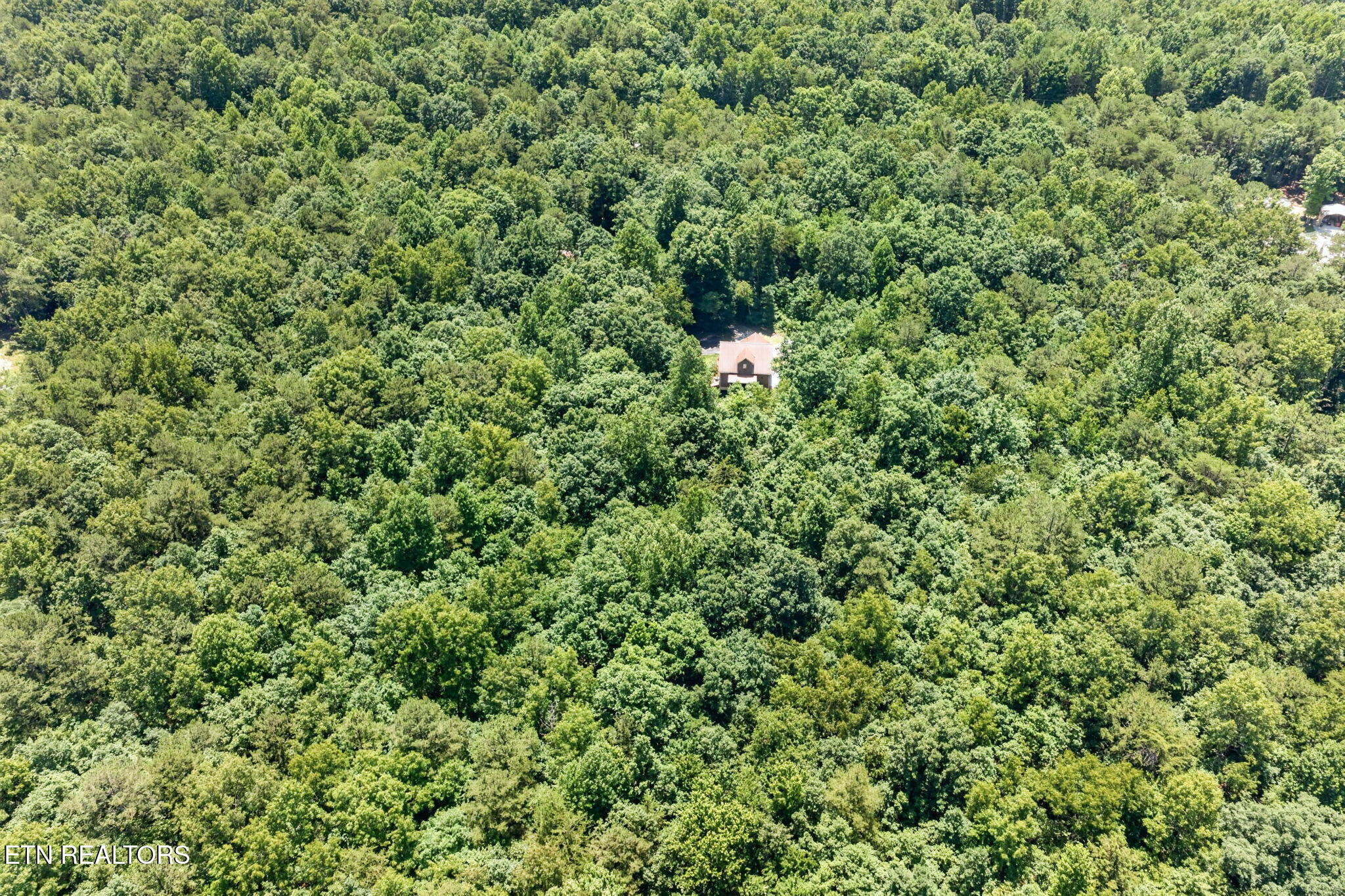1007 Parkstown Extension Wilder TN 38589