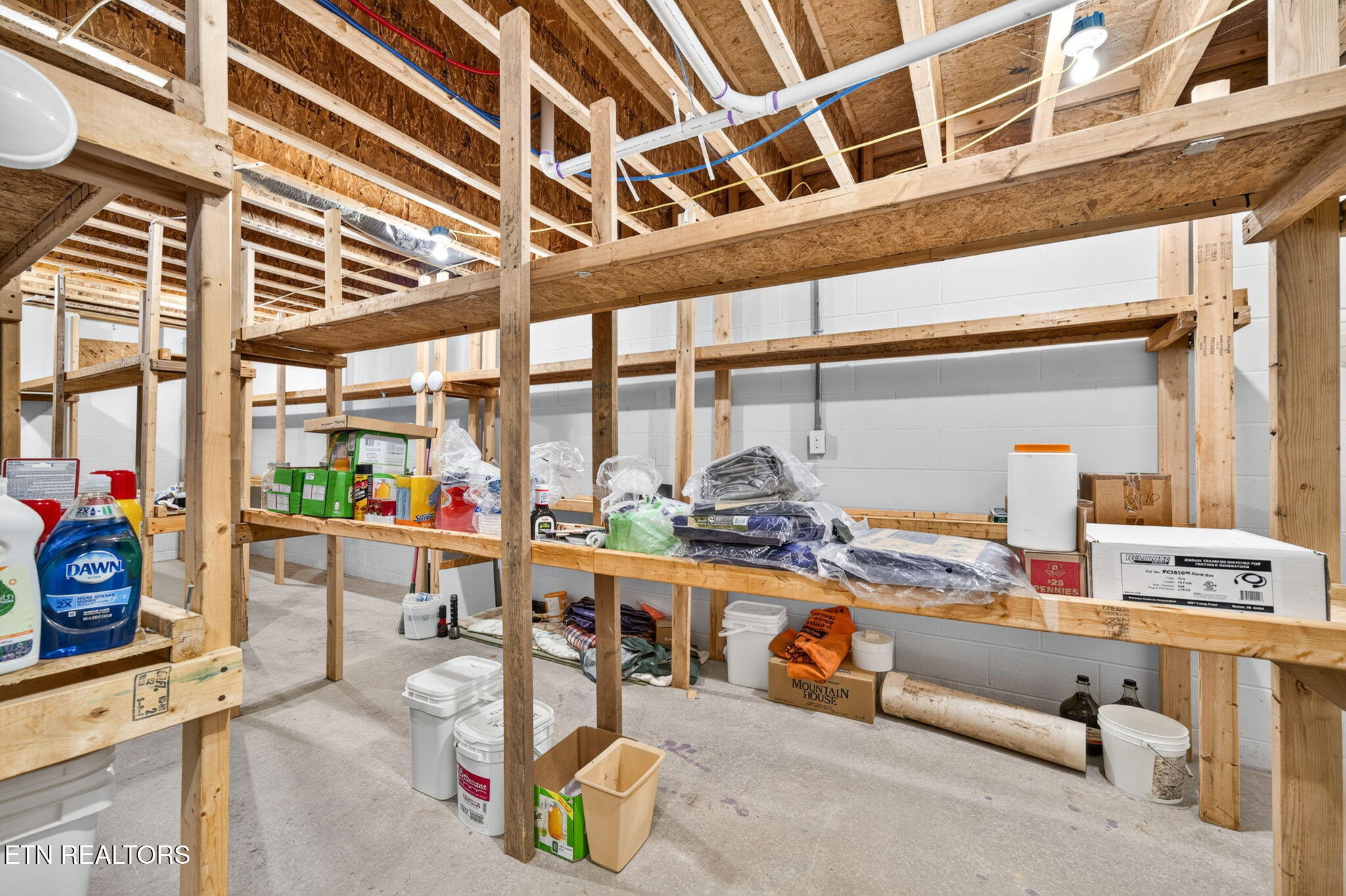 1007 Parkstown Extension Wilder TN 38589