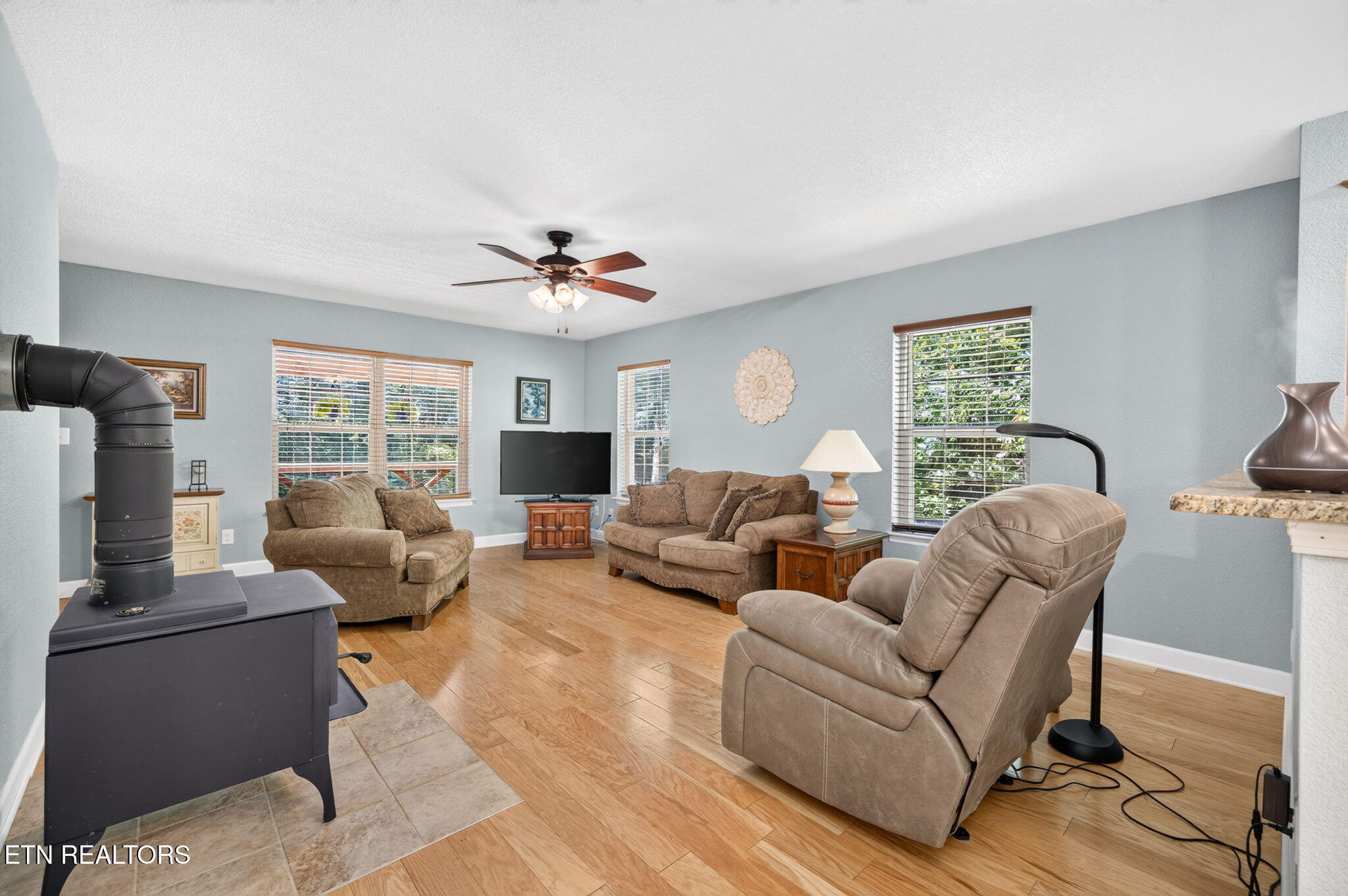 1007 Parkstown Extension Wilder TN 38589