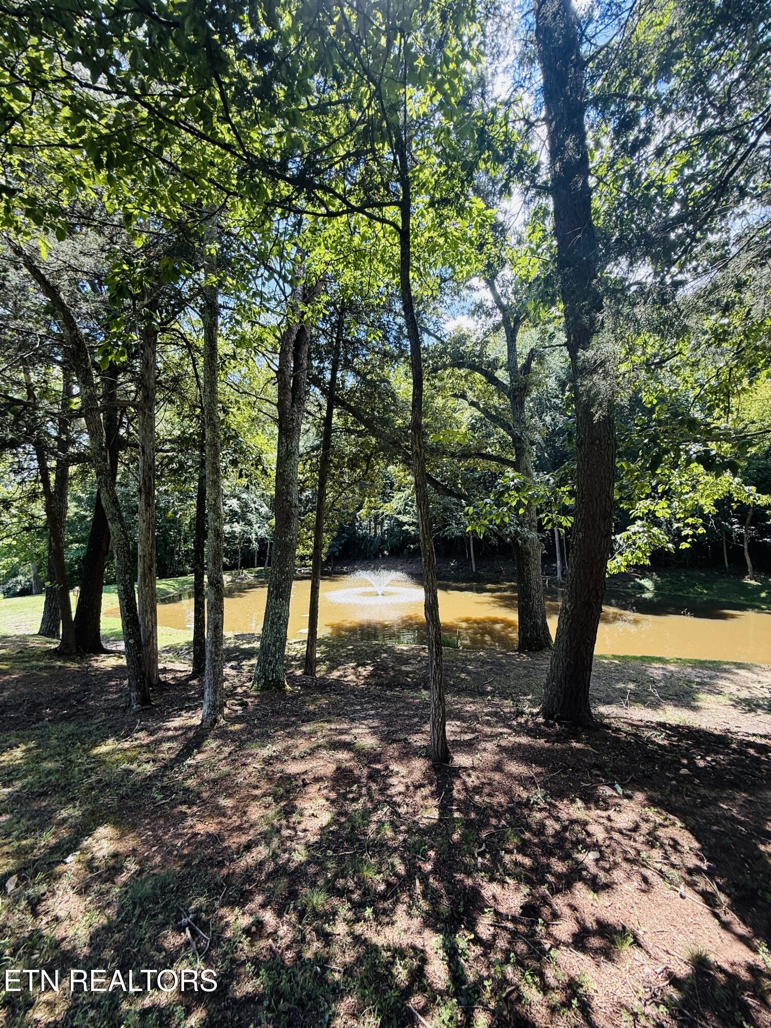 123 Cove Springs Drive Dandridge TN 37725