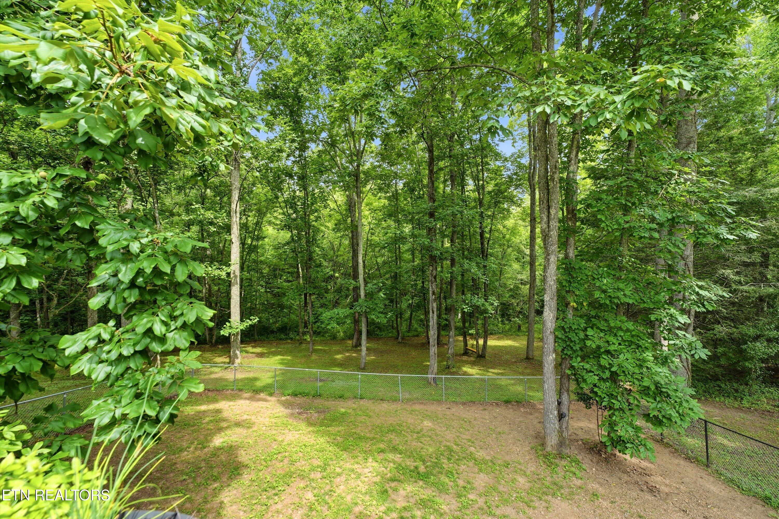 1968 Dry Hill Road Rockwood TN 37854