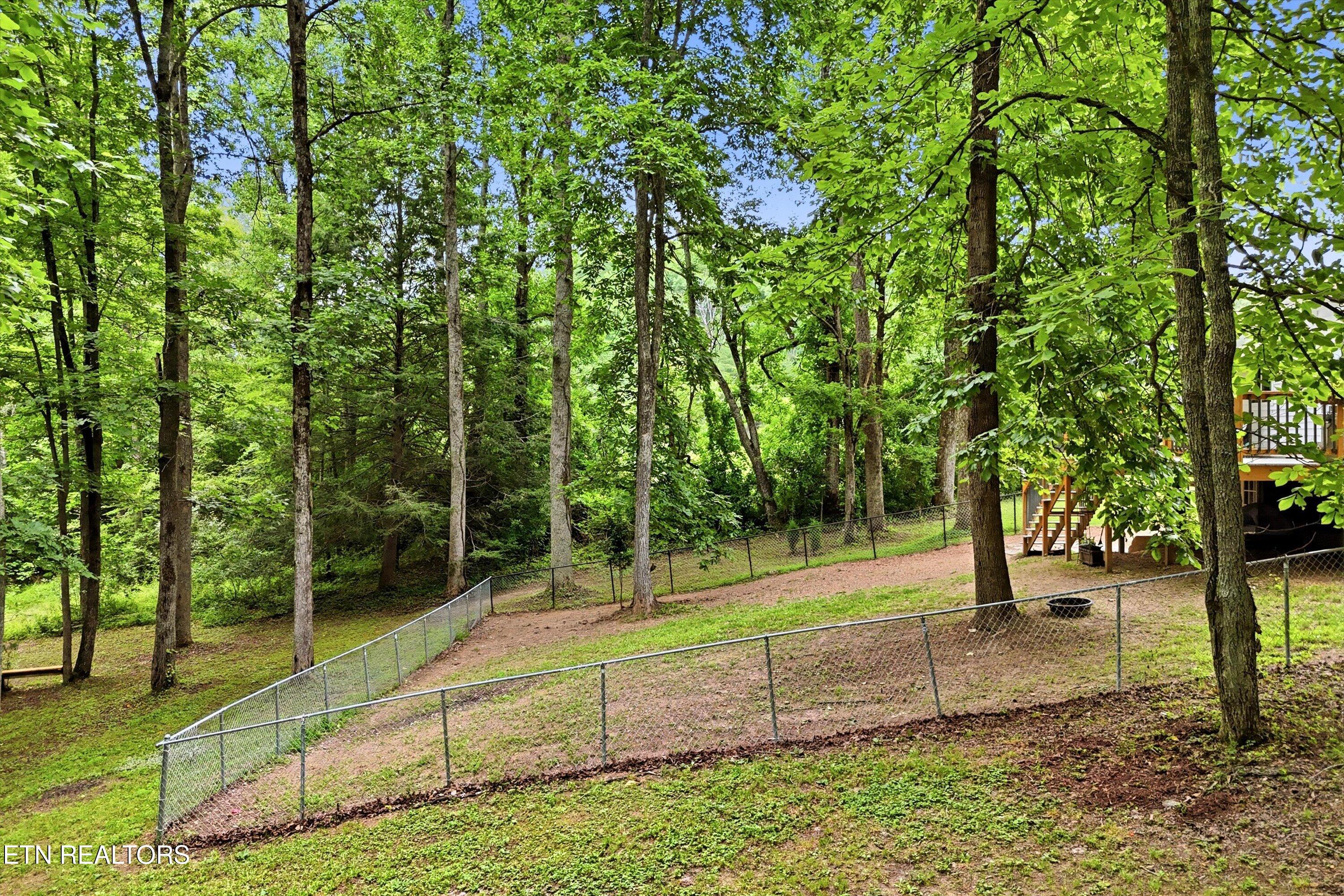 1968 Dry Hill Road Rockwood TN 37854