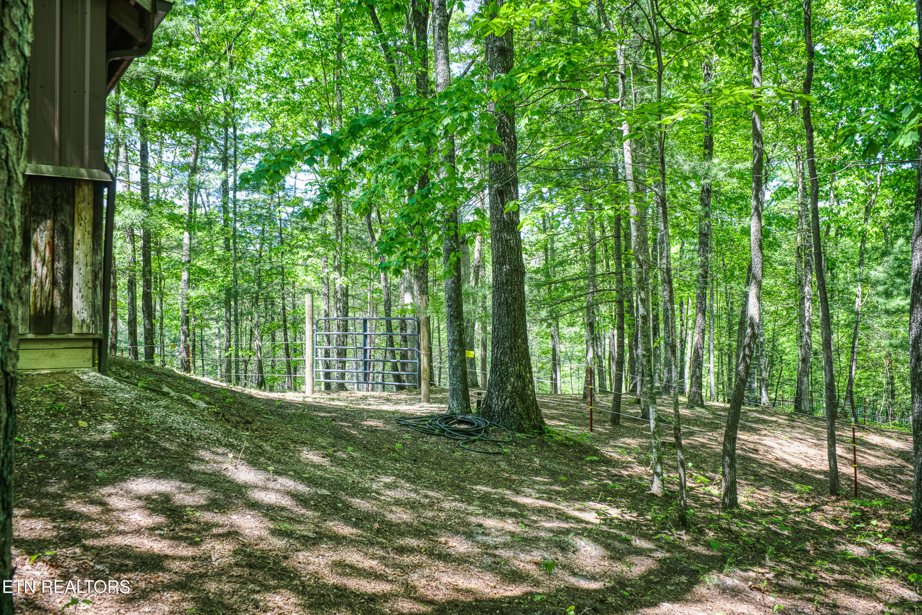 340 Spruce Creek Drive Jamestown TN 38556