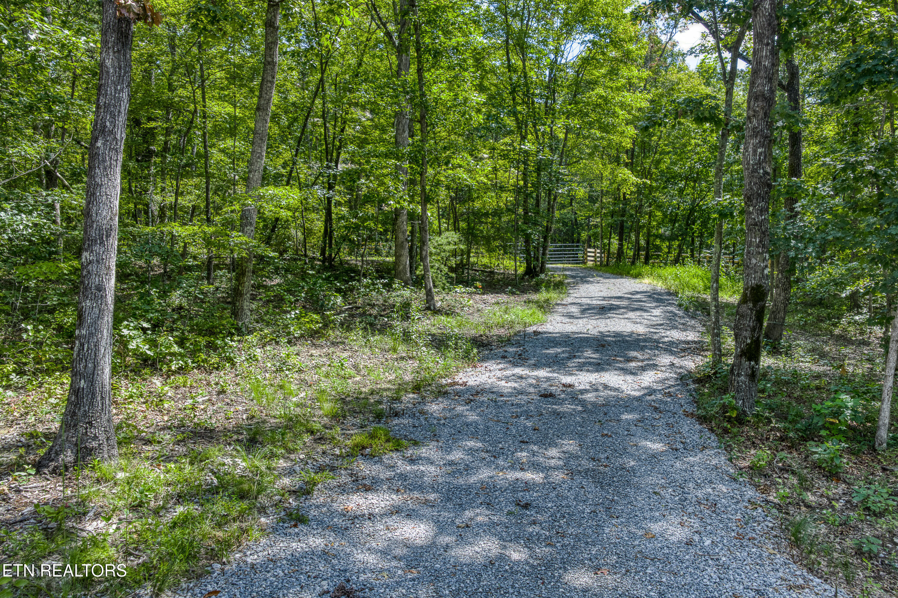 1532 E Overlook Road Monterey TN 38574