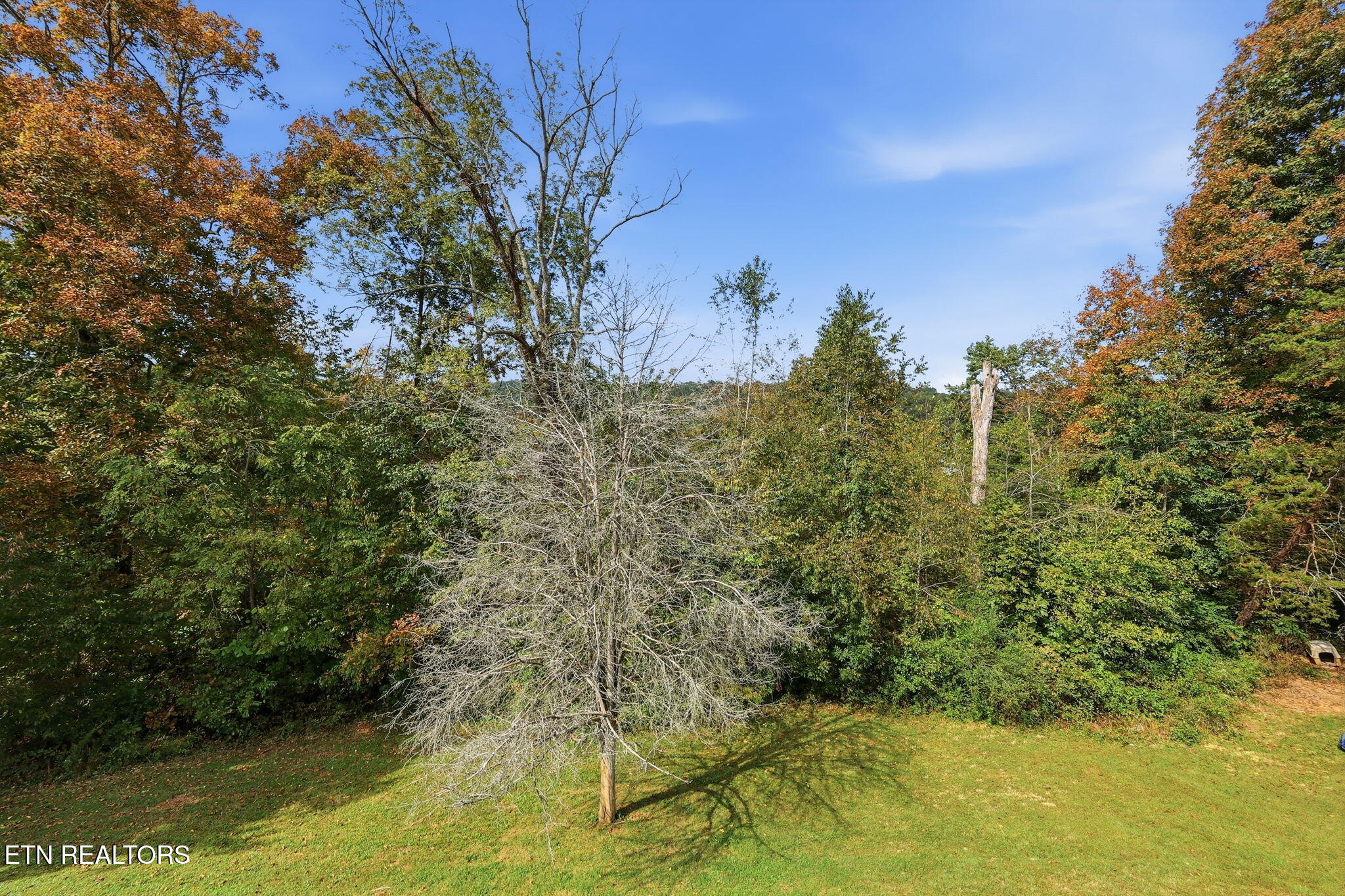 133 Christina Circle Maynardville TN 37807