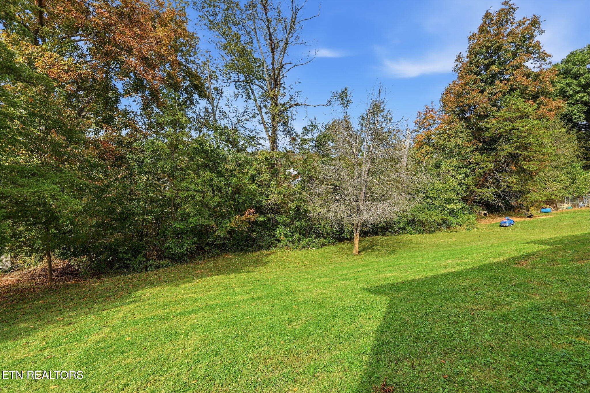 133 Christina Circle Maynardville TN 37807