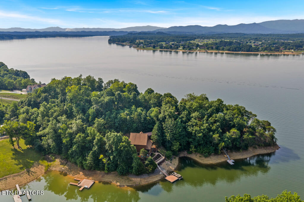 2648 Phlox Lane White Pine TN 37890