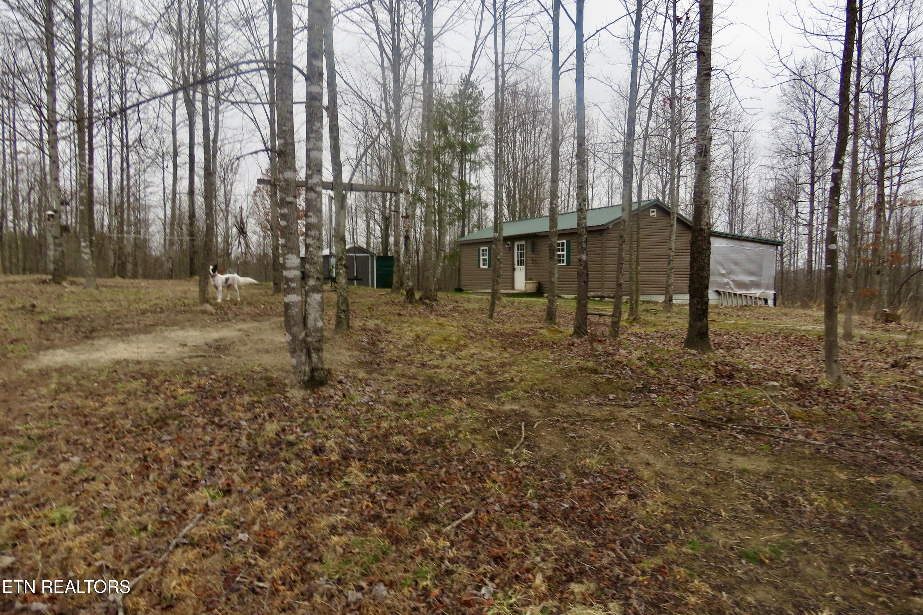 30611 Steel Tram Ridge Crawford TN 38554
