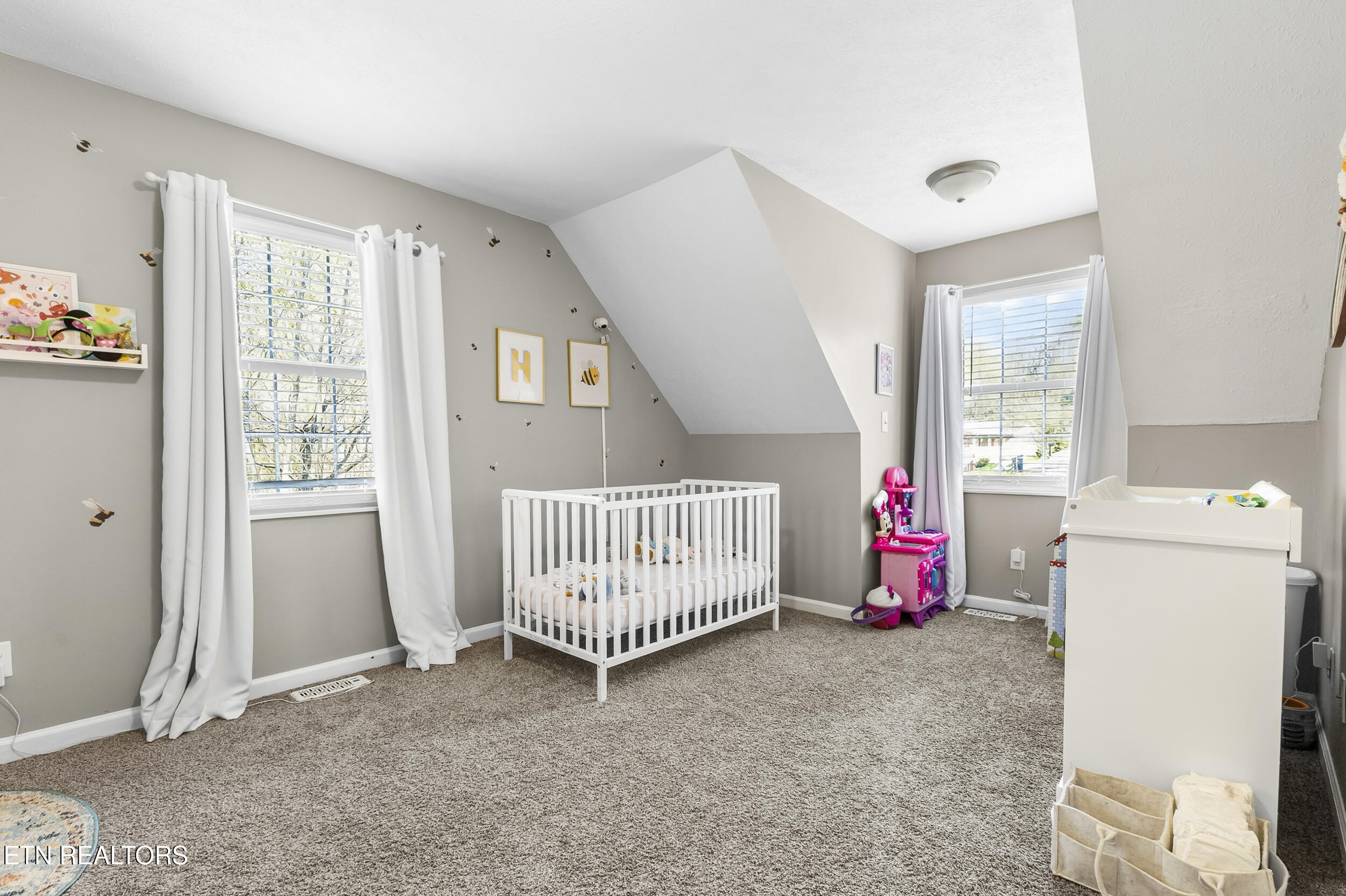 1065 Briar Court Talbott TN 37877