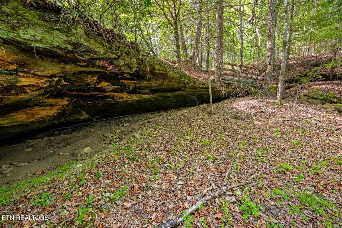 2670 Leatherwood Ford Road Jamestown TN 38556