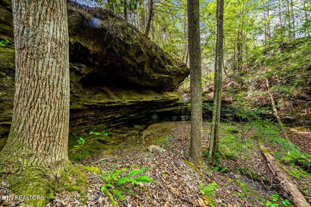 2670 Leatherwood Ford Road Jamestown TN 38556