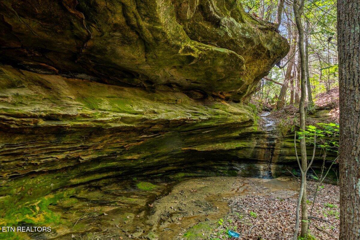 2670 Leatherwood Ford Road Jamestown TN 38556