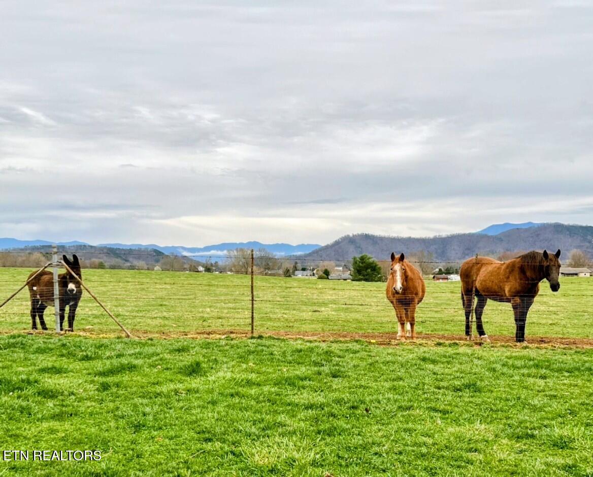 2423 Frost Valley Court Sevierville TN 37876