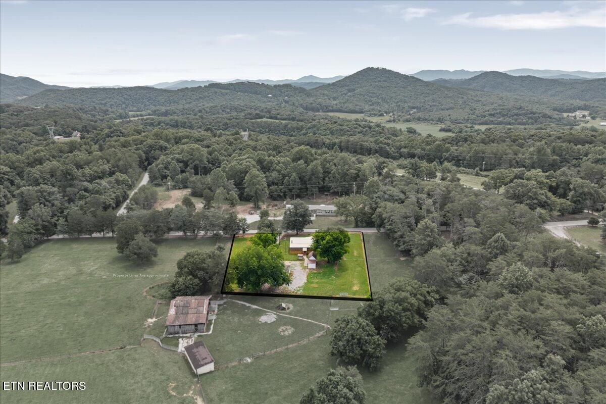 1091 Fairview Road Tellico Plains TN 37385