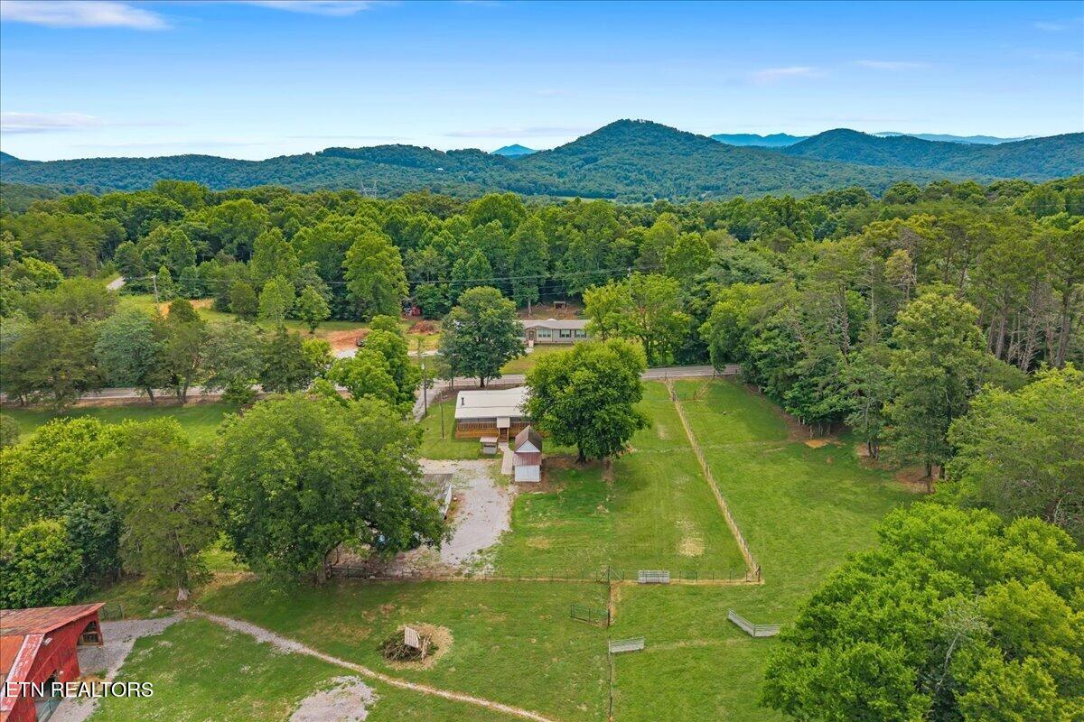 1091 Fairview Road Tellico Plains TN 37385