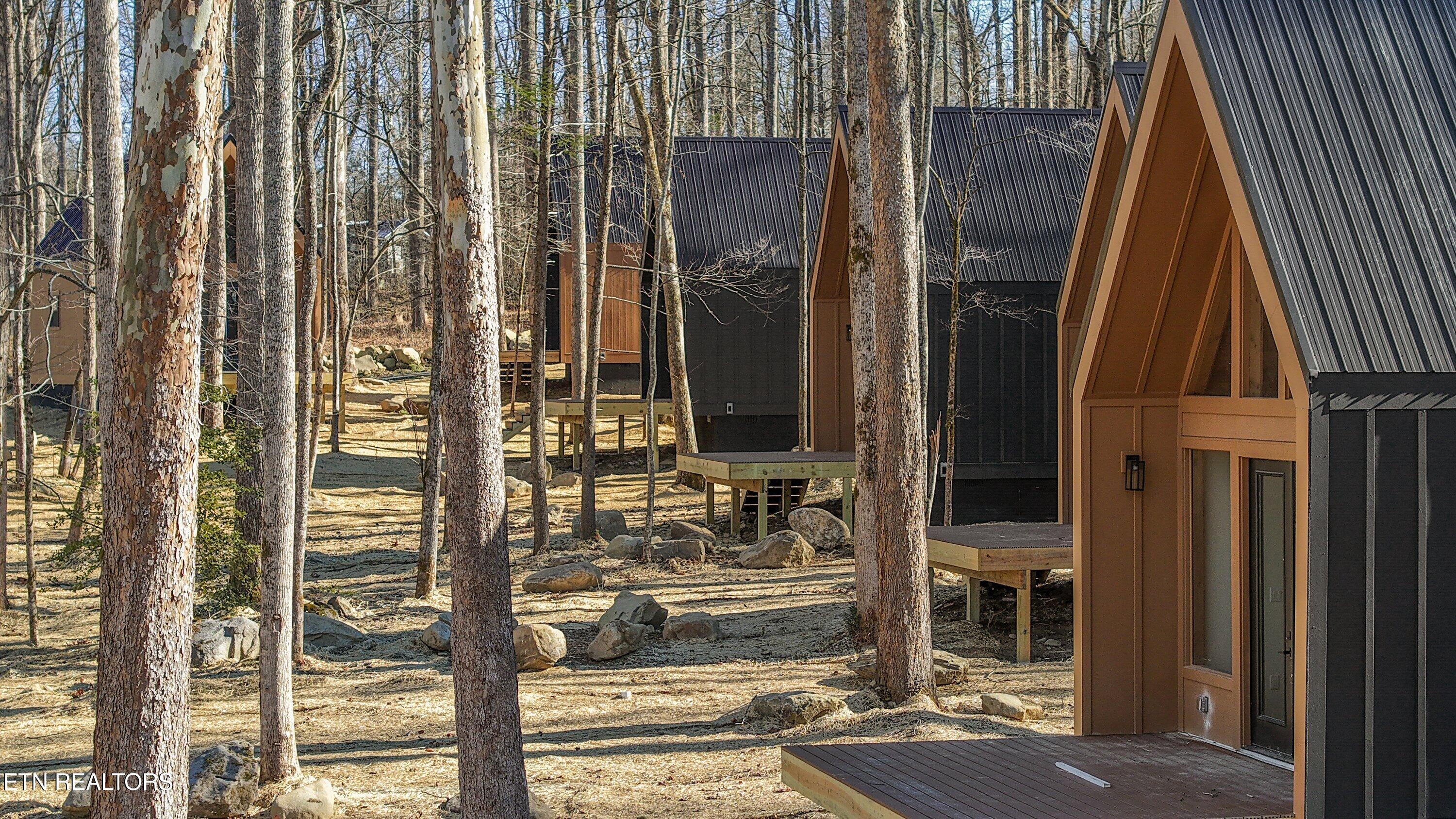 234 Braydens Way Gatlinburg TN 37738
