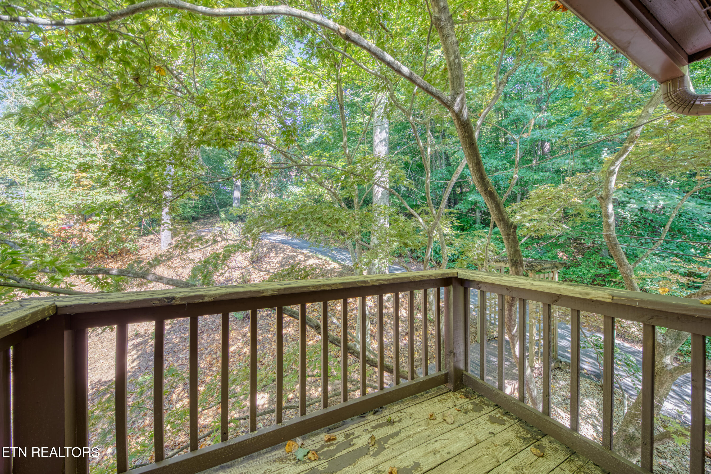 2508 Craghead Lane Knoxville TN 37920