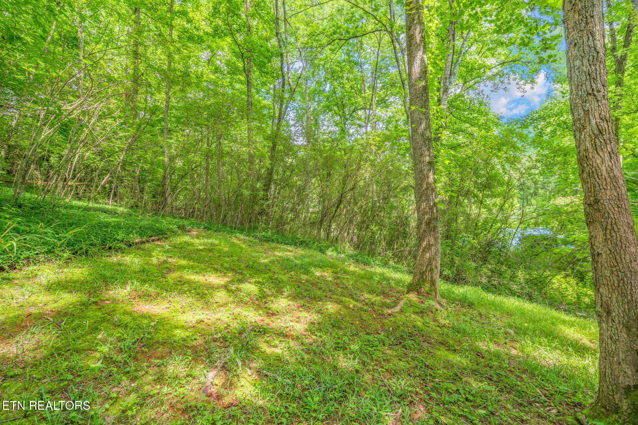 1329 Berry Road Knoxville TN 37920