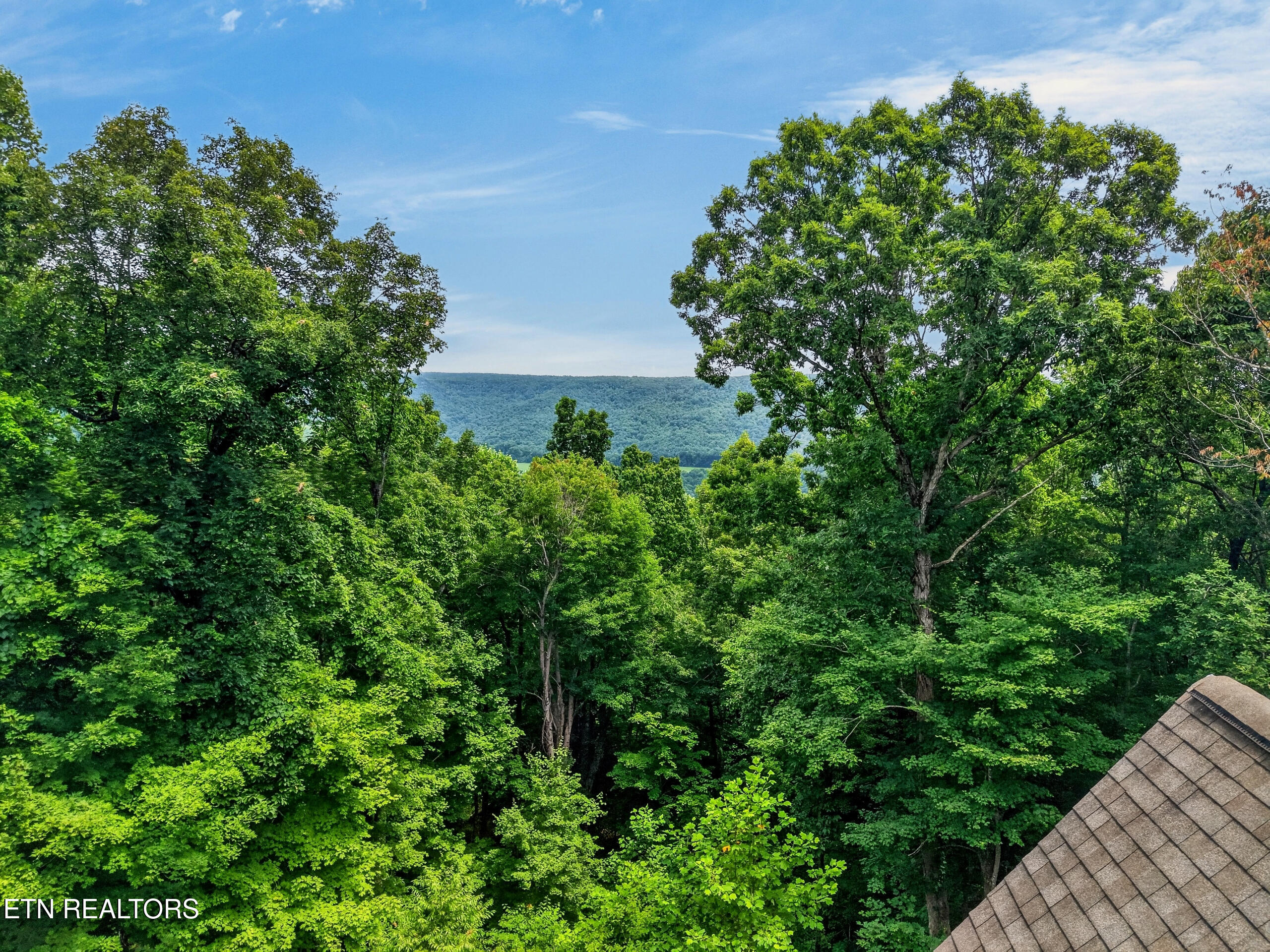 2946 Pen Hook Road Monterey TN 38574