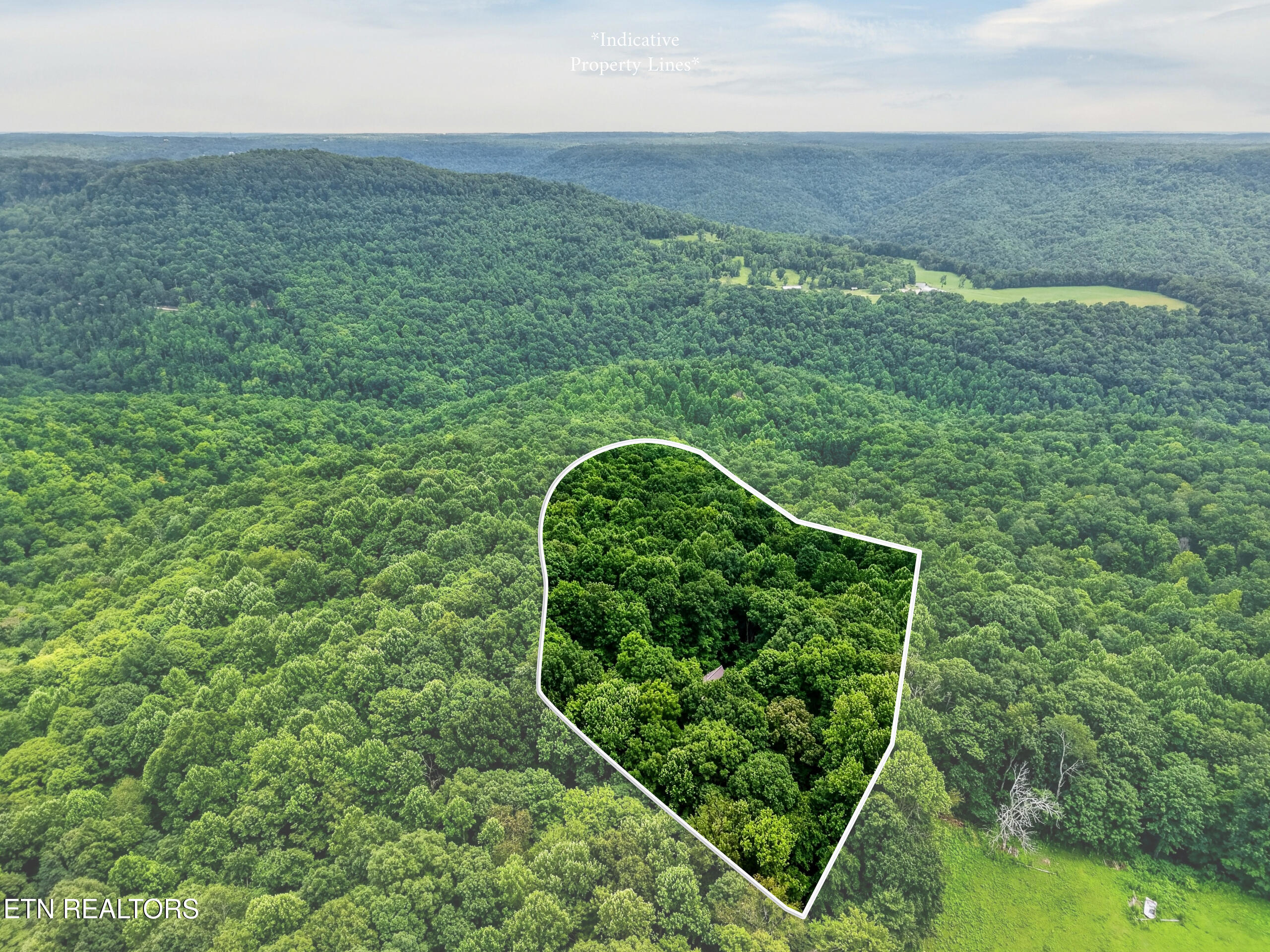 2946 Pen Hook Road Monterey TN 38574