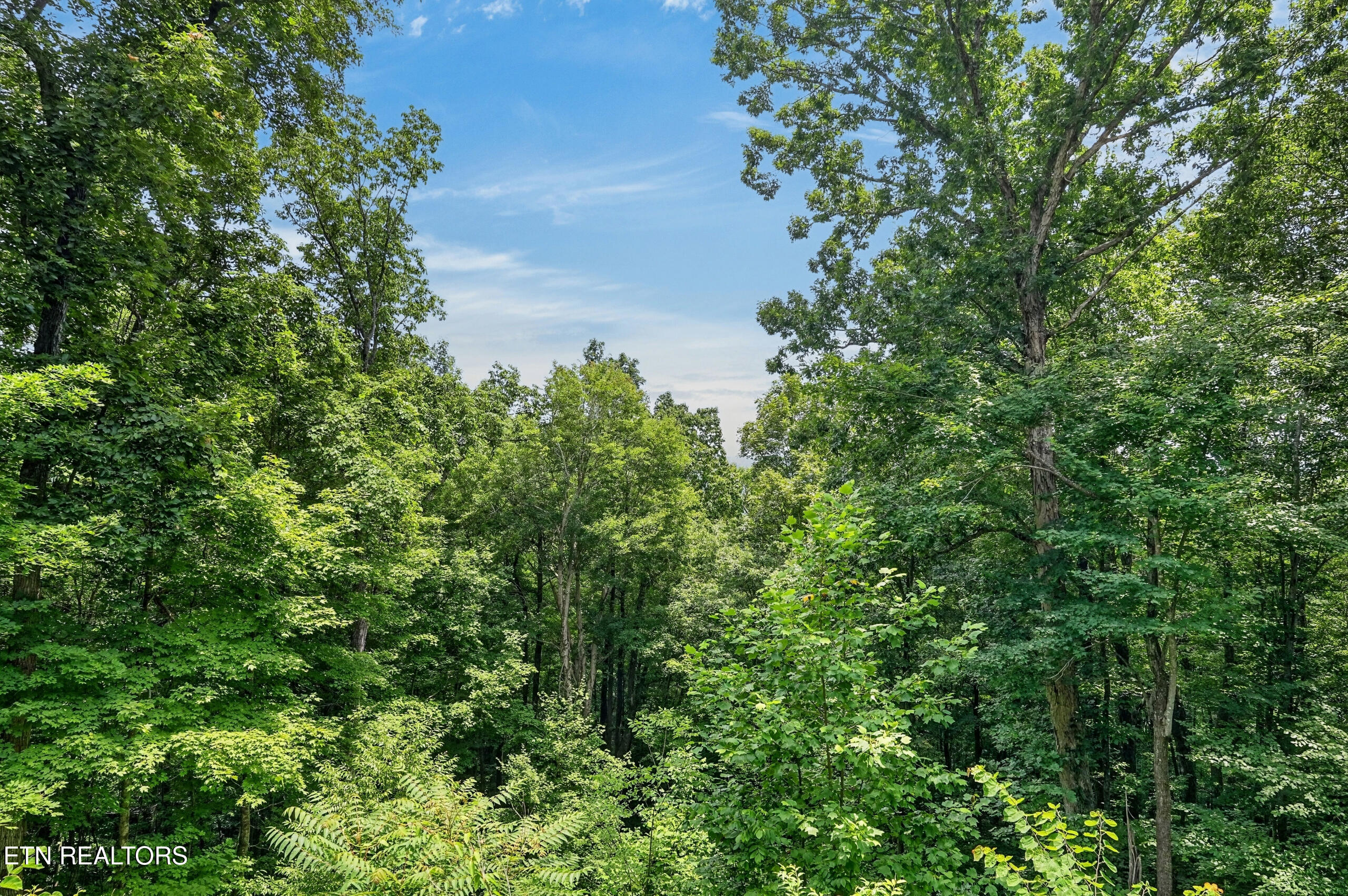 2946 Pen Hook Road Monterey TN 38574